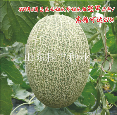 山科优蜜