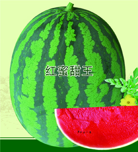 红蜜甜王