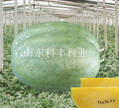 黄淇淋