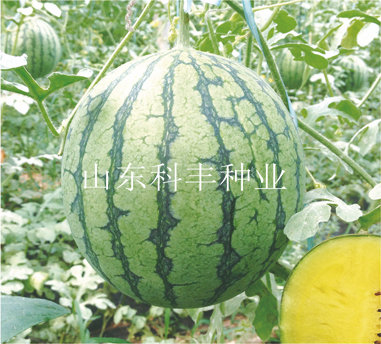 黄晶翠