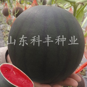 山科墨宝