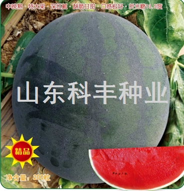 墨子